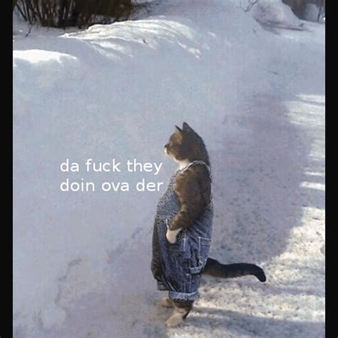 fupusy|fuck.